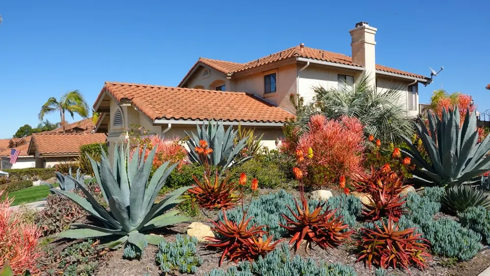 Residential yard with xeriscaping plants. 