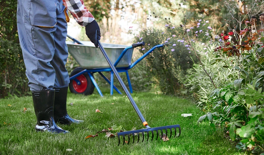 person raking leaves