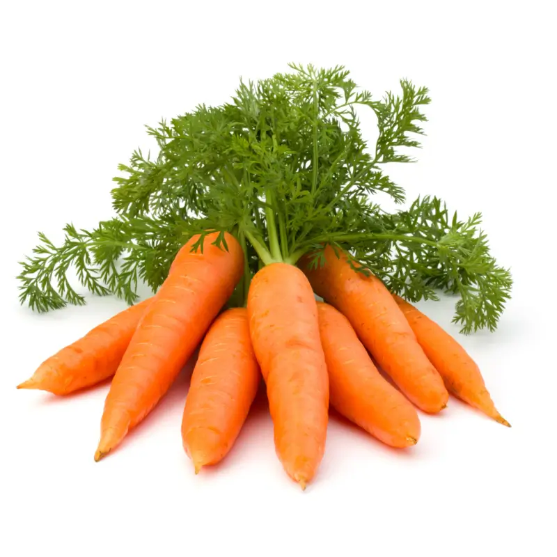 Carrots