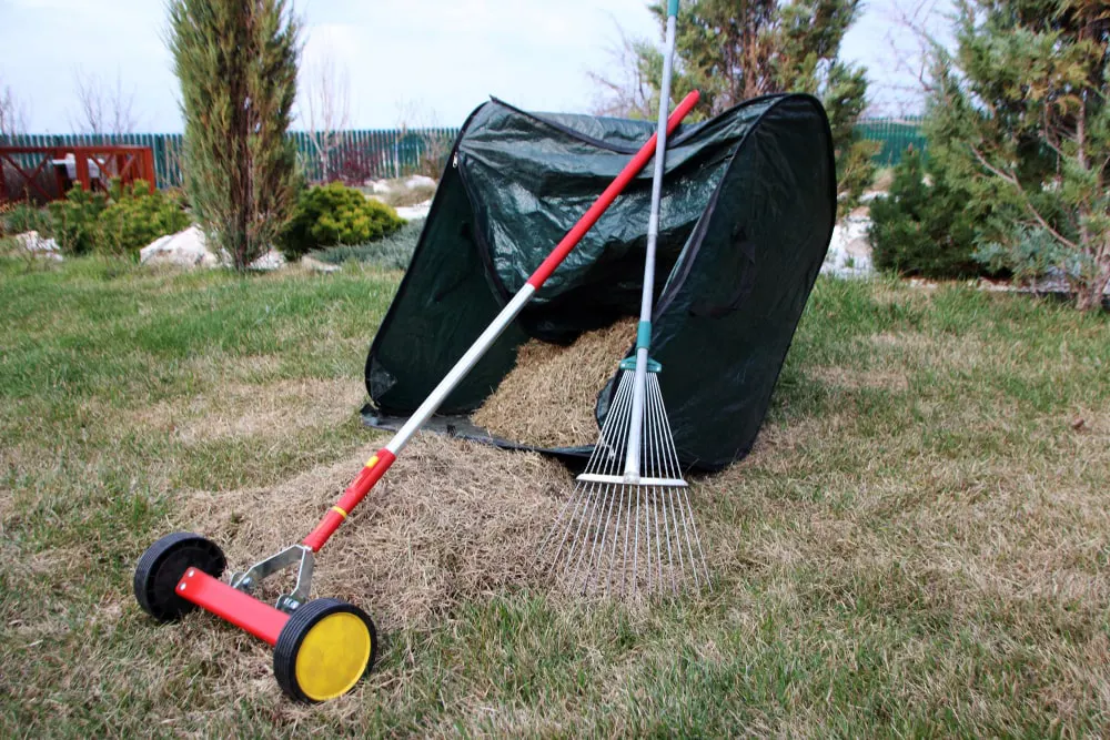 dethatching tools