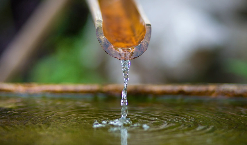 Close up of water feature in residential garden