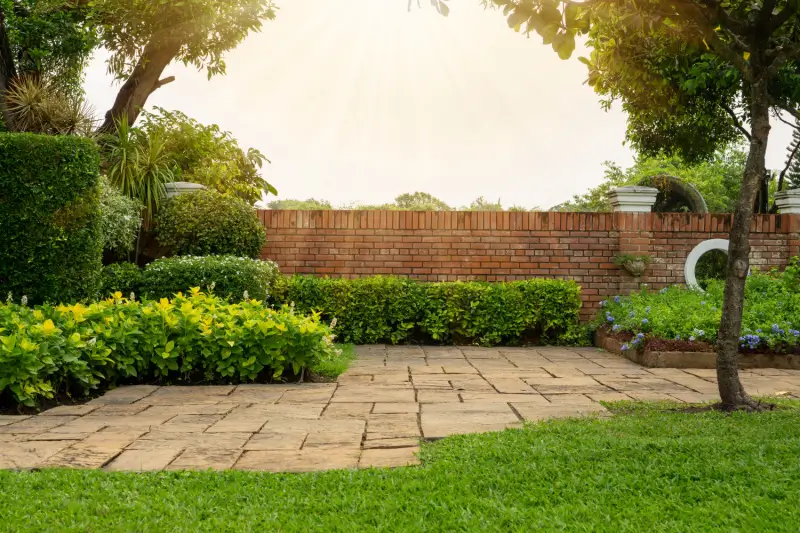 Fast-Growing Ground Cover for Shade or Full Sun