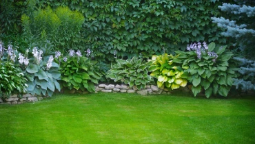 Green lawn with flower bushes.