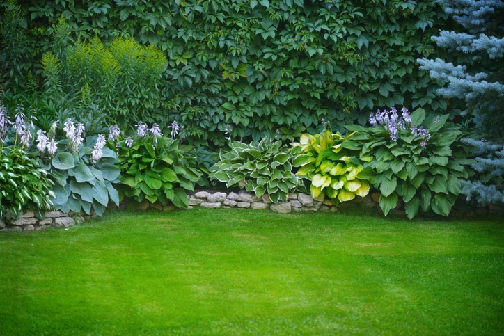 Green lawn with flower bushes.