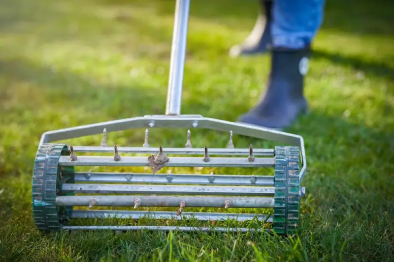 Landscaper aerating lawn