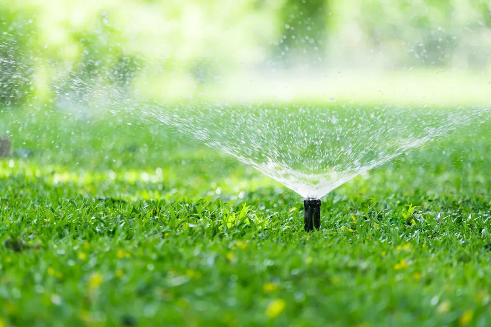 Automatic sprinkler system watering grass