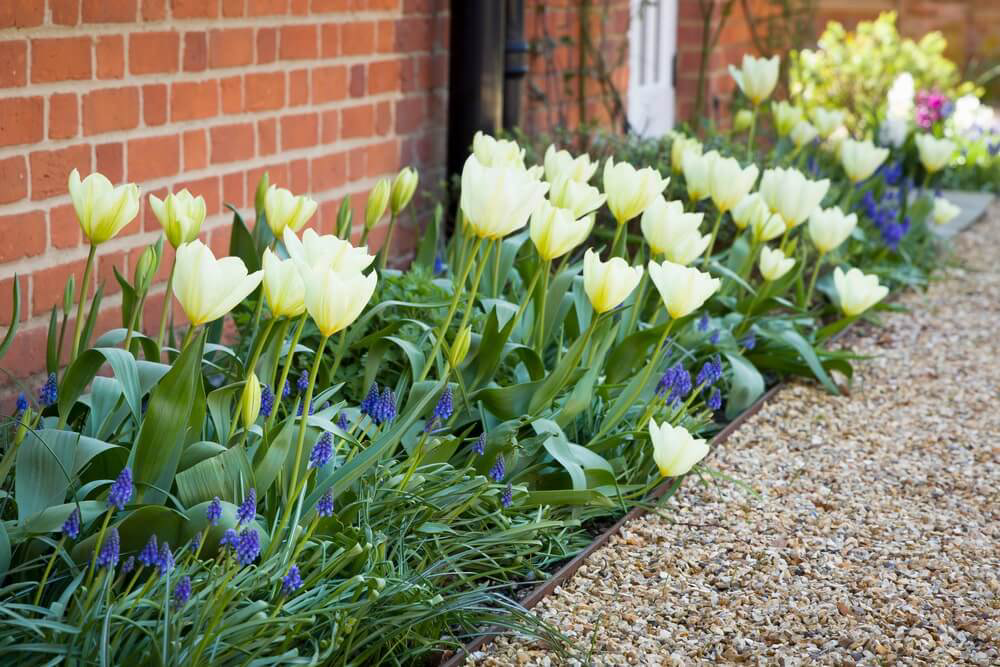 Flower bed with metal edging