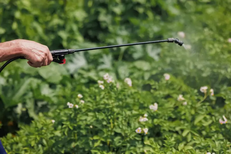 Landscape spraying bushes for fleas