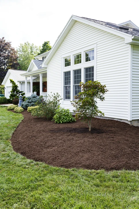 Mulch as drainage 