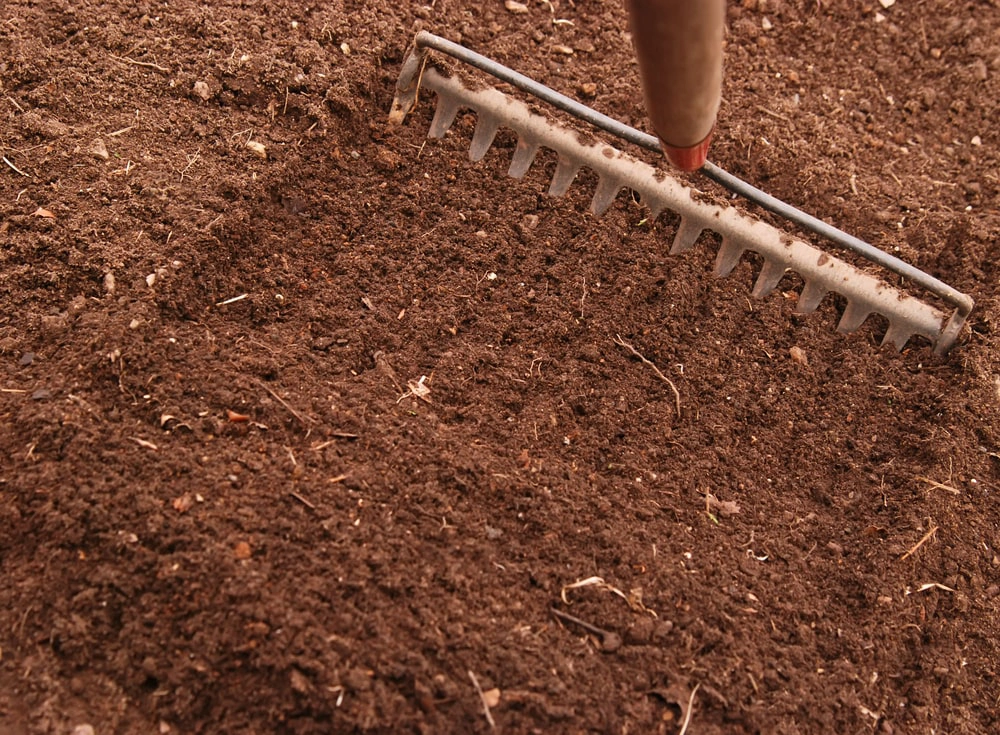 A rake in soil.