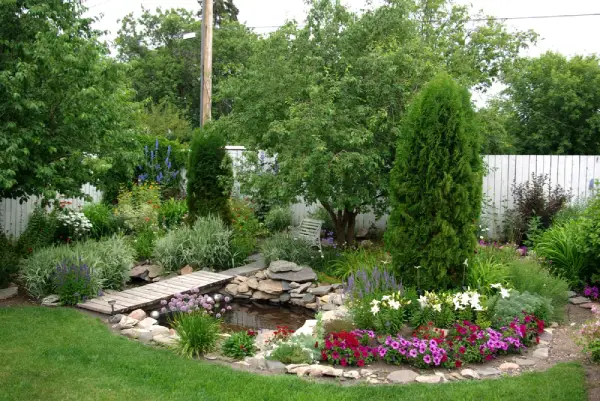 Relaxing pond in residential backyard.