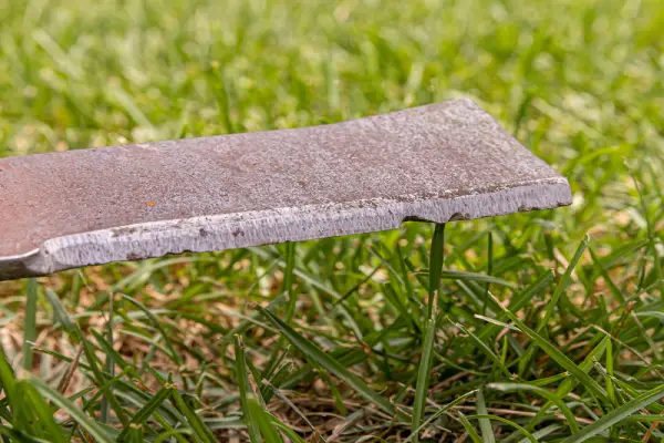 Rusty lawn mower blade.