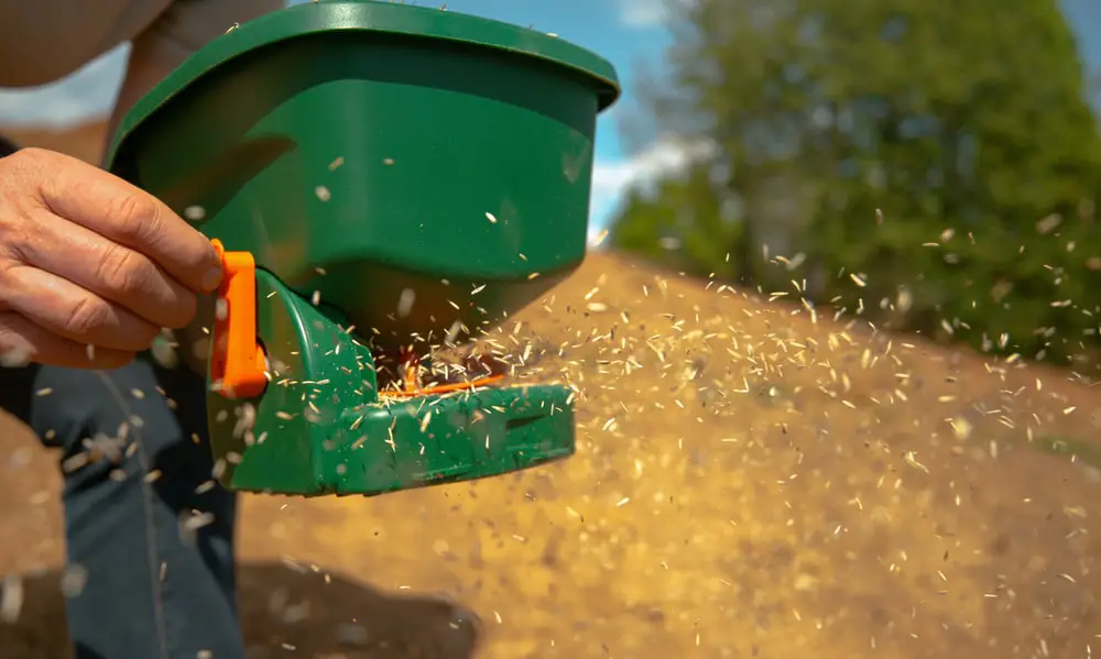 Landscaper seeding a residential lawn.