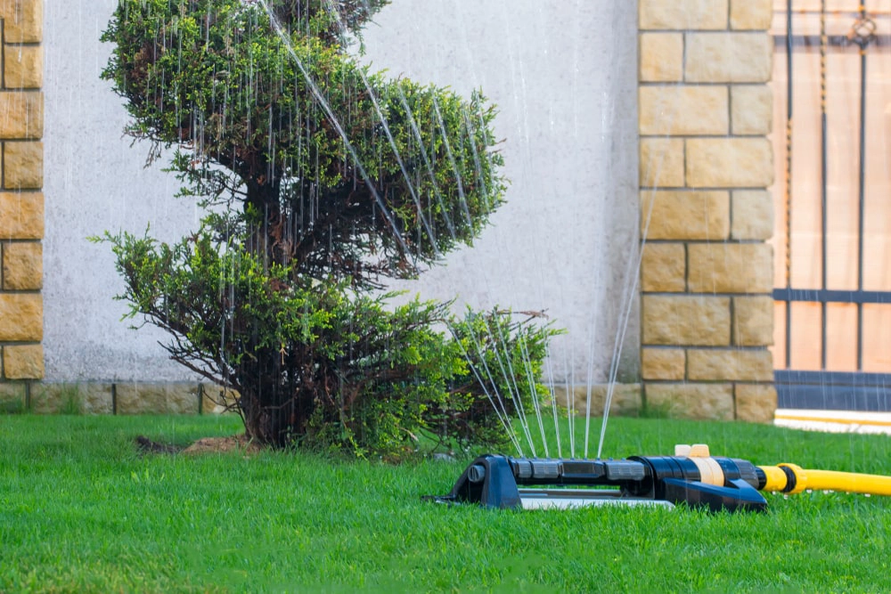 Sprinkler watering tree in residential yard