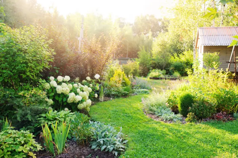 Garden beds with trench edging