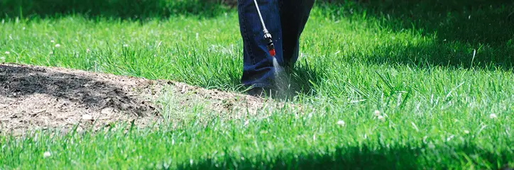 Person spraying grass with pesticide.