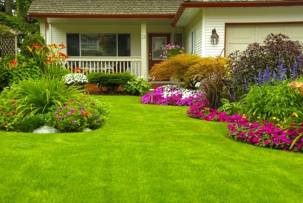 beautiful front yard in proper landscape zone