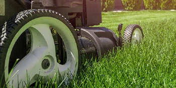 Lawn mower mowing a lawn