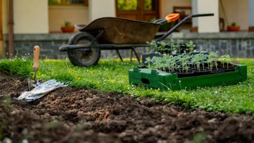 Flower-Bed-Planting