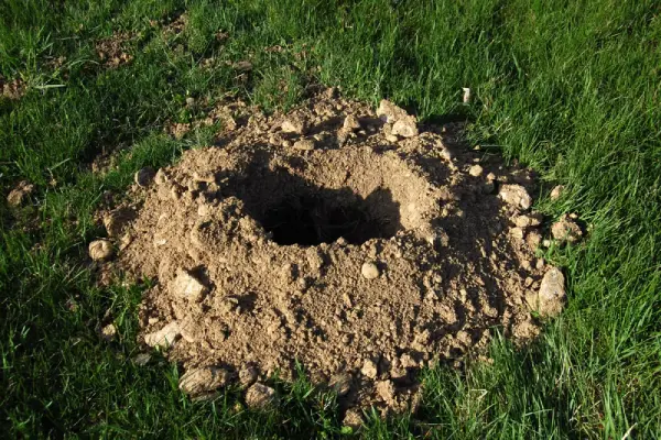 gopher hole