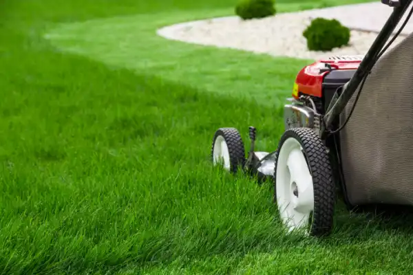 Lawn mower cutting grass.