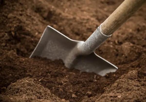 Shovel in soil