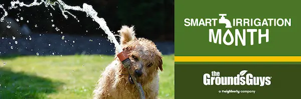 smart irrigation month