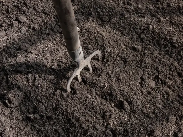 Fresh soil and tool in garden bed