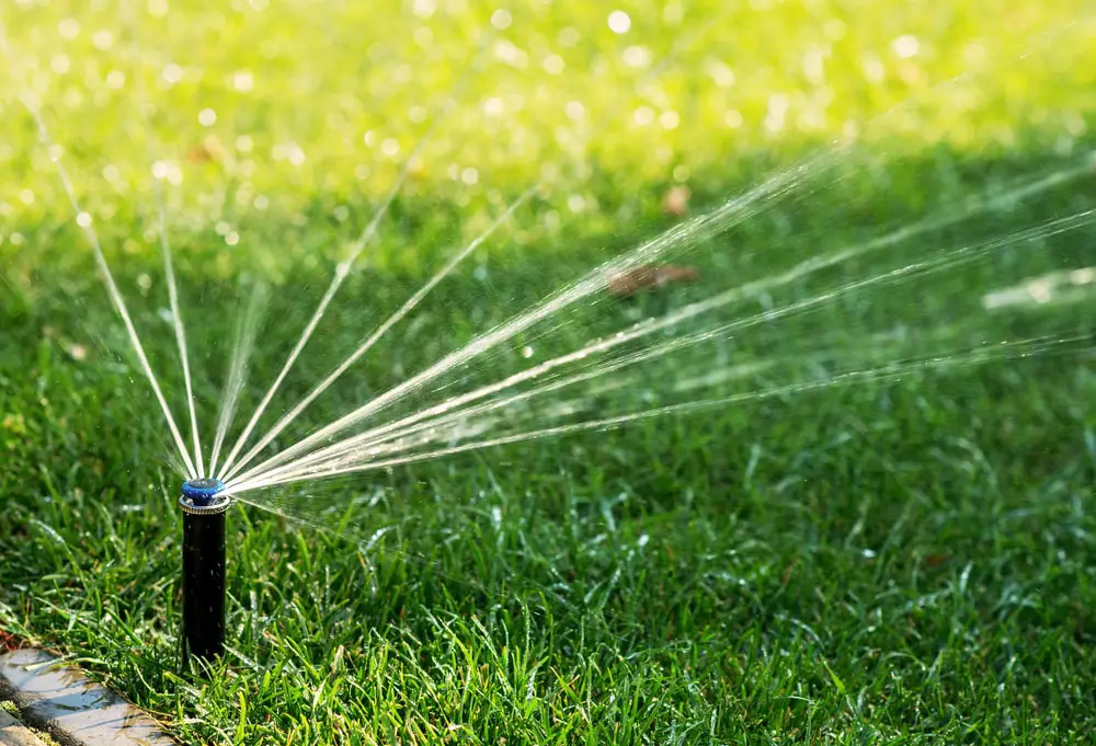 Sprinkler in front yard