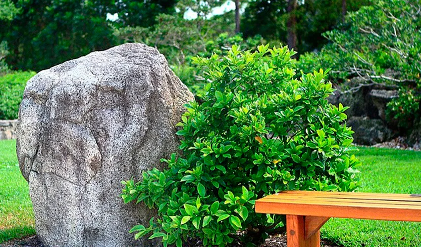 landscape design with a boulder