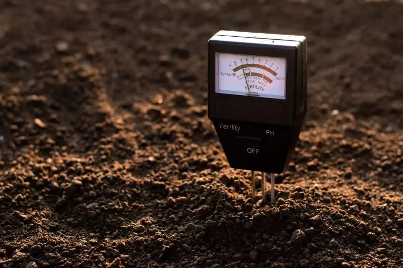 Soil pH meter testing levels in soil.