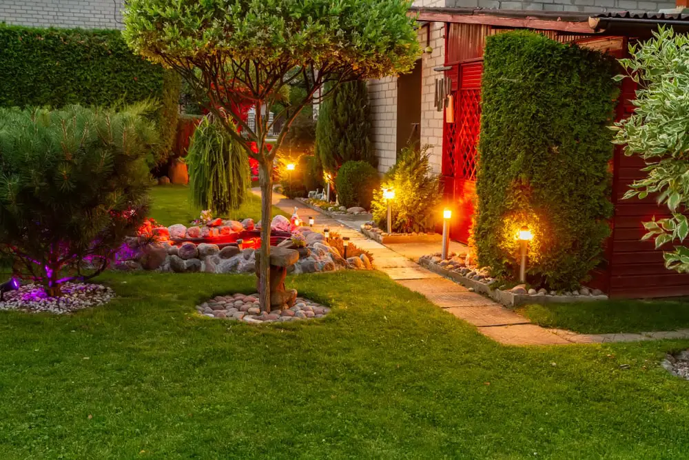 Residential backyard landscaping