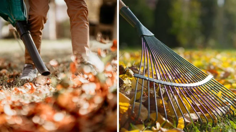 Grounds Guys raking leaves for commercial seasonal clean up