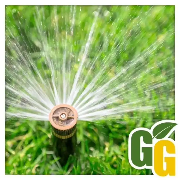 Sprinkler head spraying water.