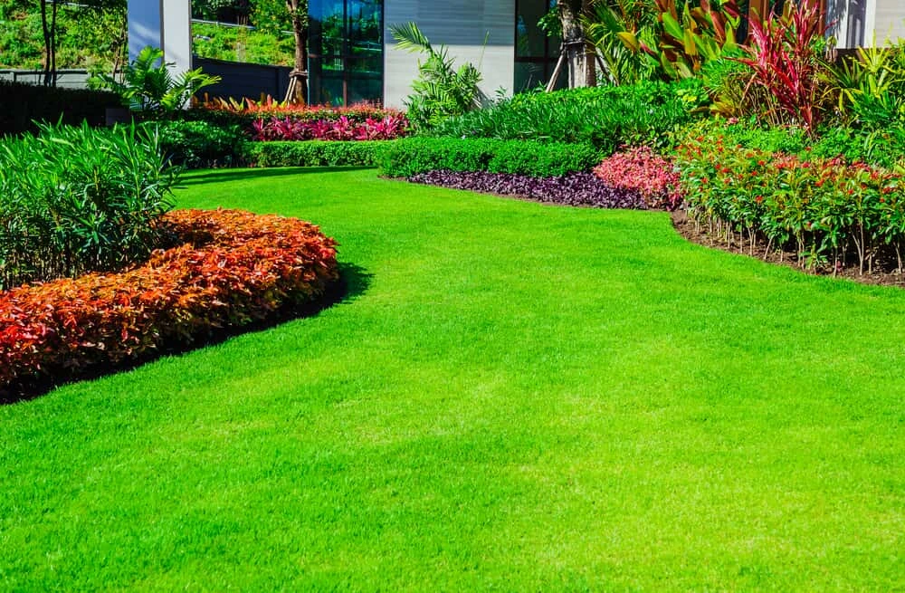 A home's front lawn with shrubbery.