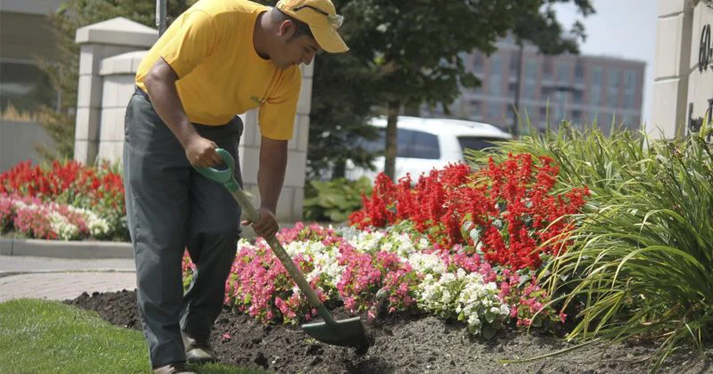 Grounds Guys landscaper performing flower bed maintenance.