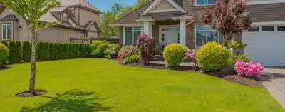 Beautiful green and lush residential lawn