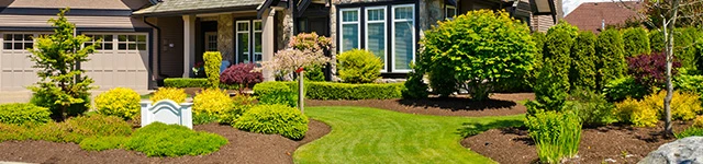 landscaping in front of home