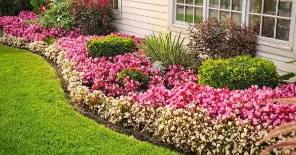 Grounds Guys landscapers helping with flower maintenance.