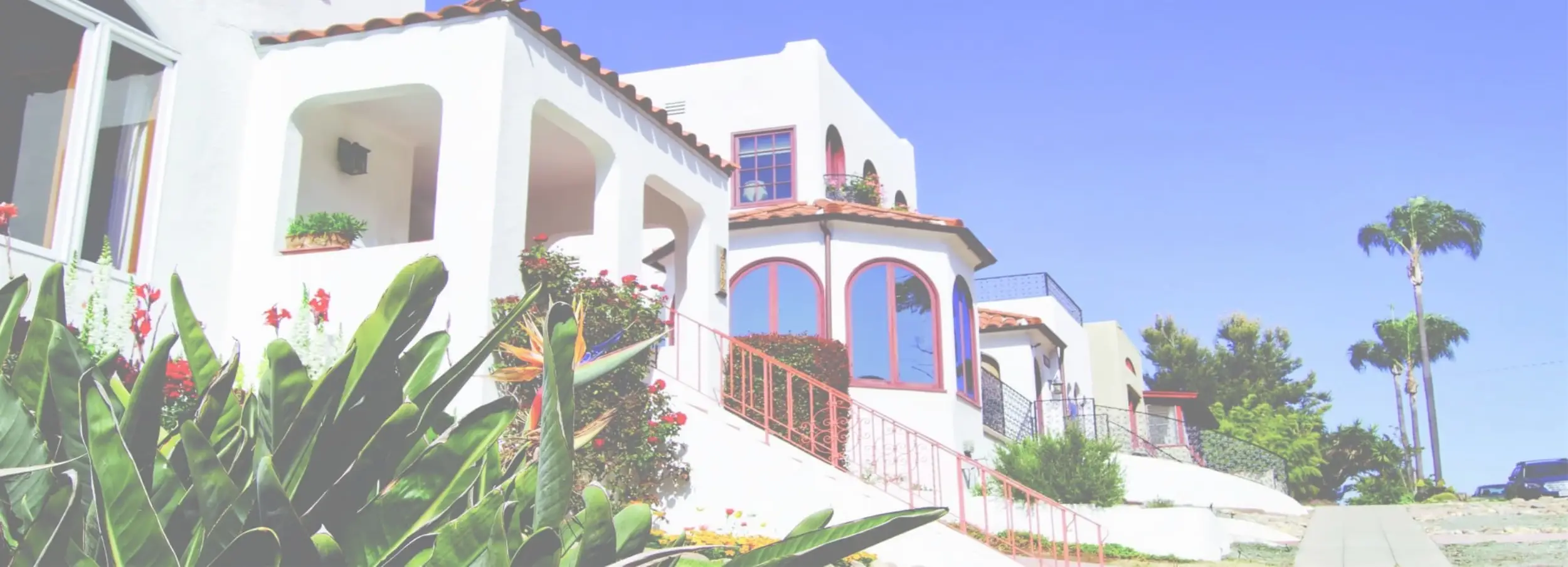 White home with tropical landscaping.