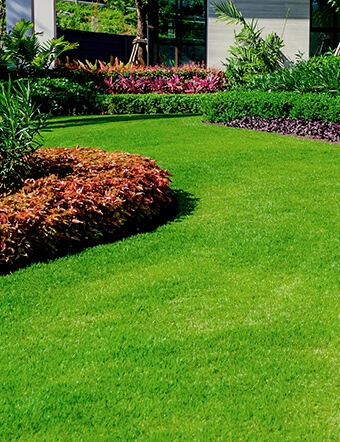 A well-maintained residential lawn