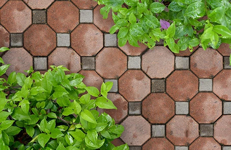 Stone hardscaping with greenery.