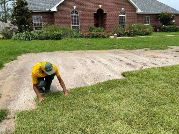 Sod Installation 