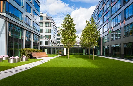 freshly cut lawn with trees in between office buildings