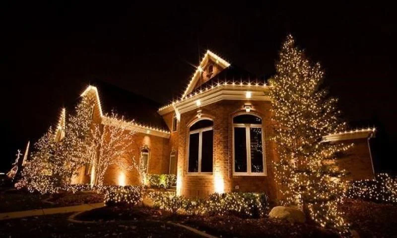 A large home at night, with the facade and surrounding shrubs and trees lit with white holiday lights.