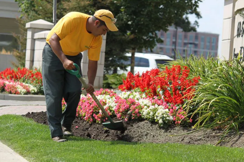 commercial landscaper working on landscape design