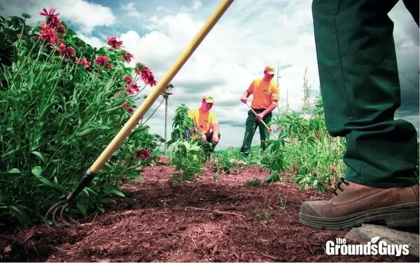 Grounds Guys landscapers doing mulch installation