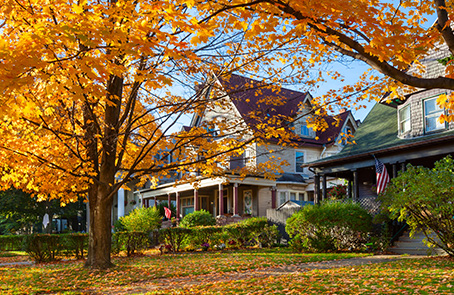 Tree with orange leaves in front of homes on residential street.