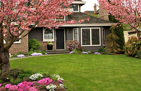 Greenville home with freshly manicured front lawn from The Grounds Guys