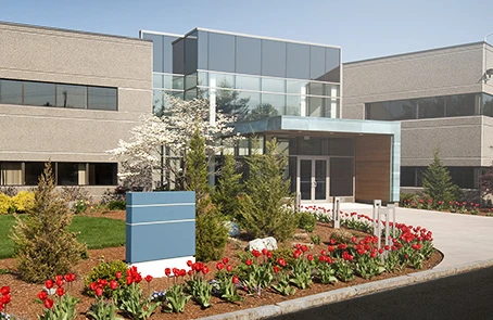 Commercial Landscaping Outside of Office Building in Memorial Park